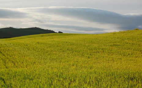 Fields in Grazalema